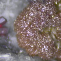 Xanthoconite, Proustite, Calcite