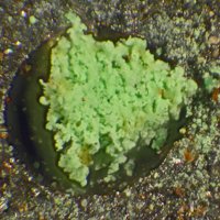 Nantokite, Atacamite