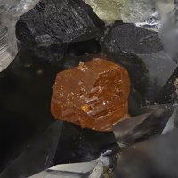 Xanthoconite