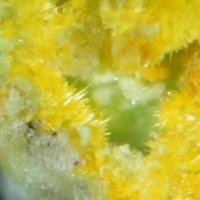Oswaldpeetersite