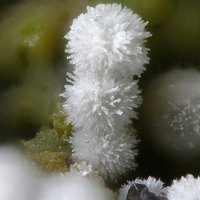 Ottoite