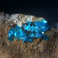 Sampleite