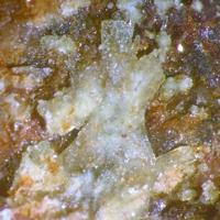 Agricolaite