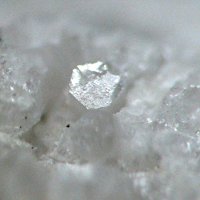 Nasonite