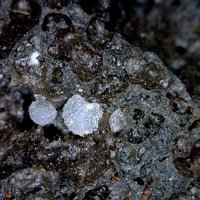 Faujasite-Ca, Phillipsite Subgroup