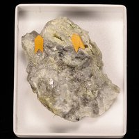 Jamborite