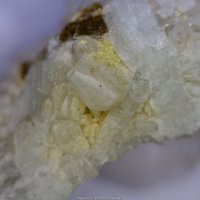 Carlosbarbosaite