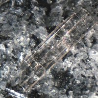Nacareniobsite-(Ce)