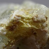 Carlosbarbosaite