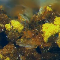 Rabejacite, Vandendriesscheite, Gypsum