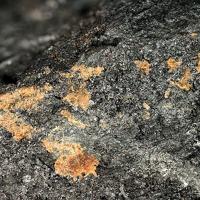 Canosioite