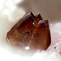 Canutite