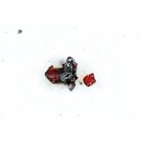 Agmantinite