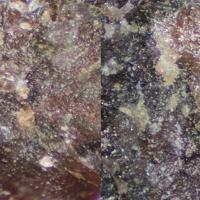 Baksanite, Andradite