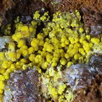 Cacoxenite