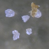 Gainesite