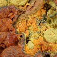 Cassedanneite