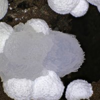 Dachiardite-Ca, Mordenite