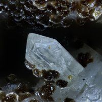 Kainosite-(Y), Chamosite