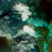 Yakhontovite