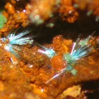 Agardite-(Nd)