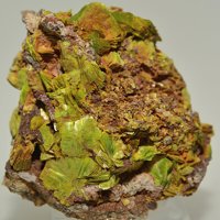 Uranocircite