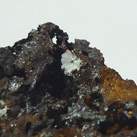 Carlhintzeite