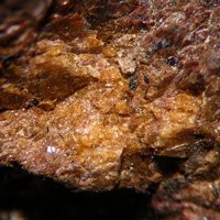 Ikranite