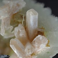 Caysichite-(Y)