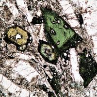 Aegirine-augite, Nosean, Sanidine