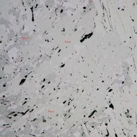 Falkmanite, Bournonite, Galena