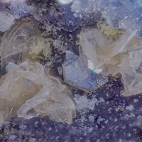 Ecdemite