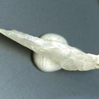 Calciborite