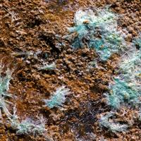 Agardite-(Y)