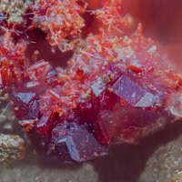 Carminite
