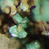 Takovite