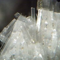 Kaliophilite