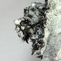 Cannizzarite