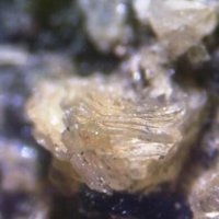 Umbite