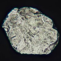 Osmium