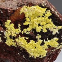 Sabugalite