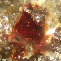 Carminite