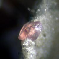 Calcioancylite-(Nd)