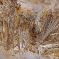 Carpholite
