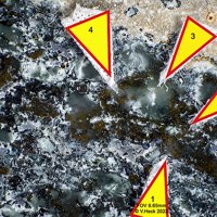 Gazeevite, Srebrodolskite