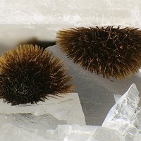 Rankachite