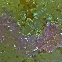 Sainfeldite