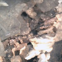 Carlgieseckeite-(Nd)