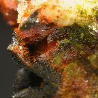Cassedanneite, Crocoite, Vauquelinite