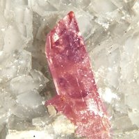 Iimoriite-(Y), Dolomite